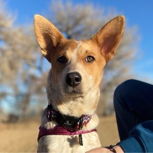 Meet your Posher, Jacob